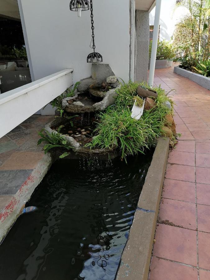 Mangolds Guest House Port Elizabeth Exteriör bild